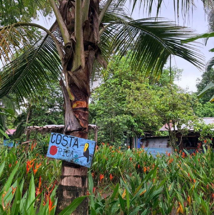 News &raquo; Trip To Costa Rica Swapped The Classroom For The Canopies